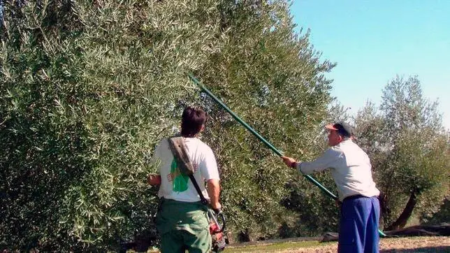 agricultores-smi-ugt