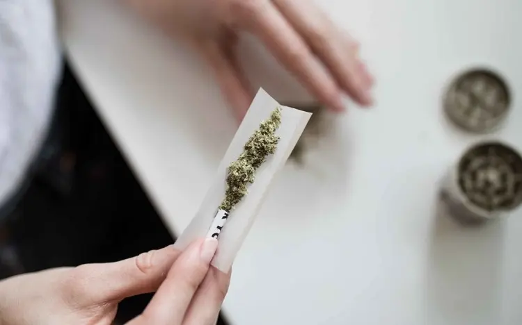 cannabis