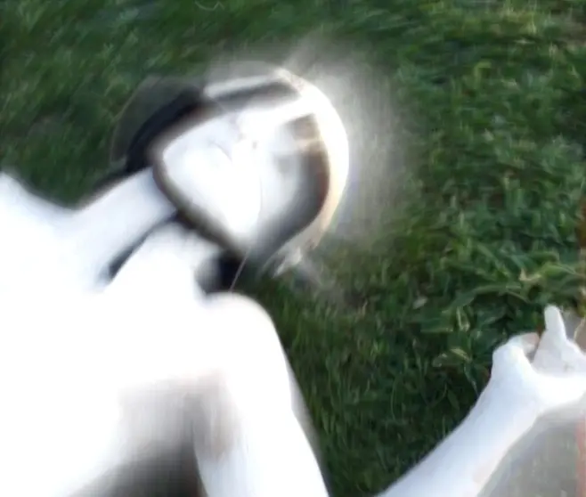 cicutaimagen 2