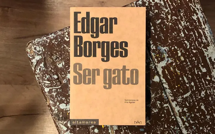 edgar gato