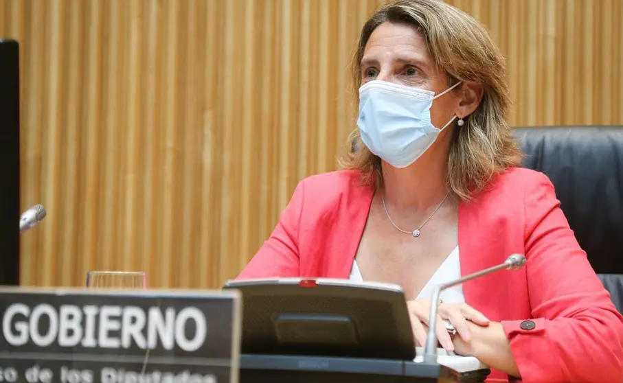 teresa ribera