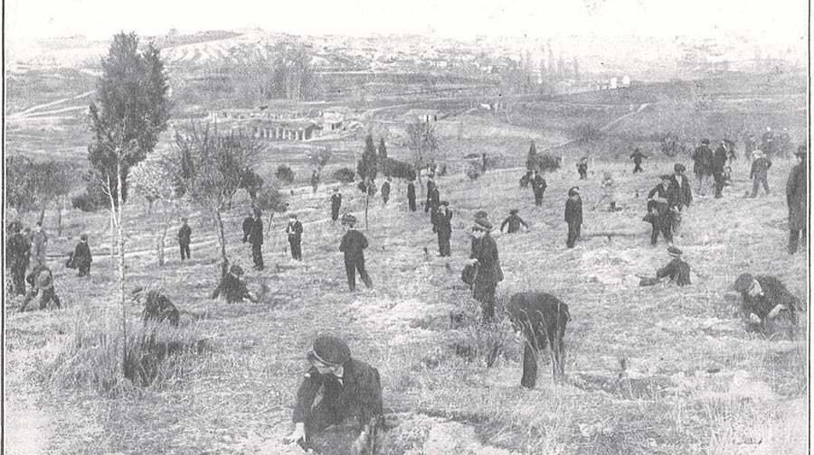 Los niños del Asilo de la Paloma haciendo plantaciones en la Dehesa de la Villa
(Madrid) durante la Fiesta del Árbol de 1915 (Foto: Salazar, Mundo Gráfico, 1915;
Hemeroteca BNE)