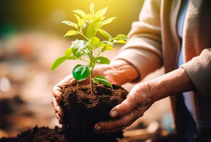 Un nuevo estudio de personas mayores encontr&oacute; una mejor memoria y funci&oacute;n ejecutiva entre los que se ofrecieron como voluntarios. Cr&eacute;dito: Neuroscience News