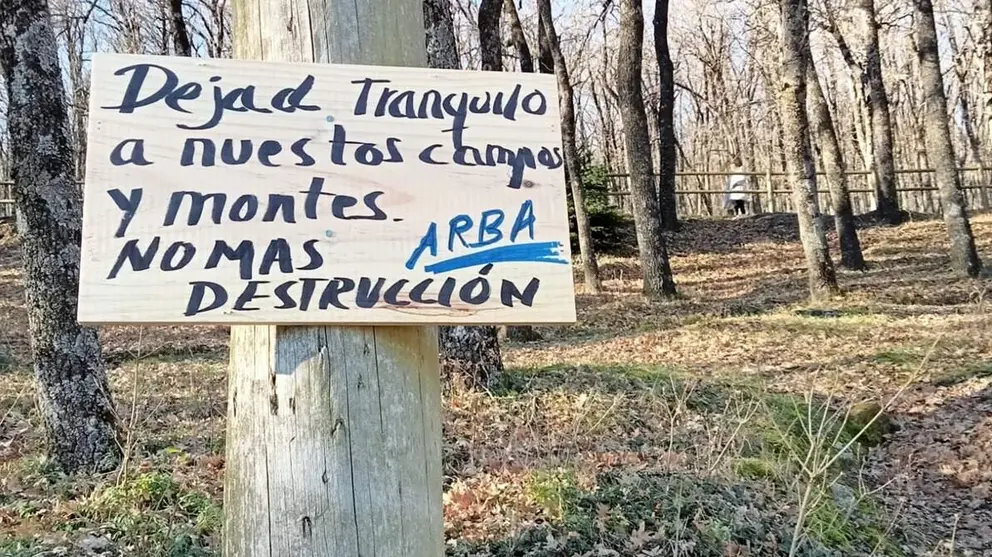 tala_arboles_mirafoles_sierra_ecologistas (3)