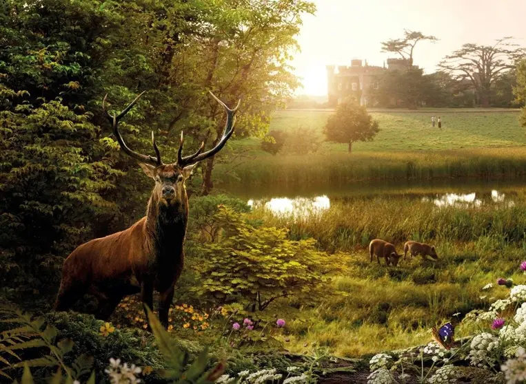 Wilding_el_regreso_de_la_naturaleza-893038380-large