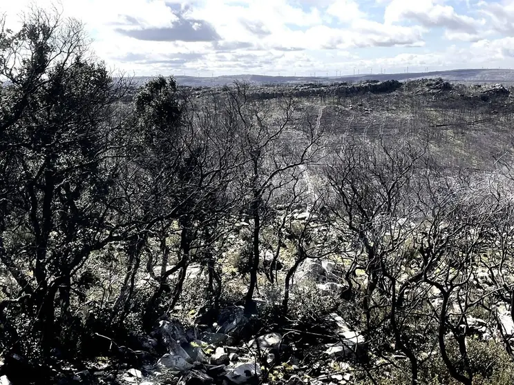 Incendio_Sierra_Culebra