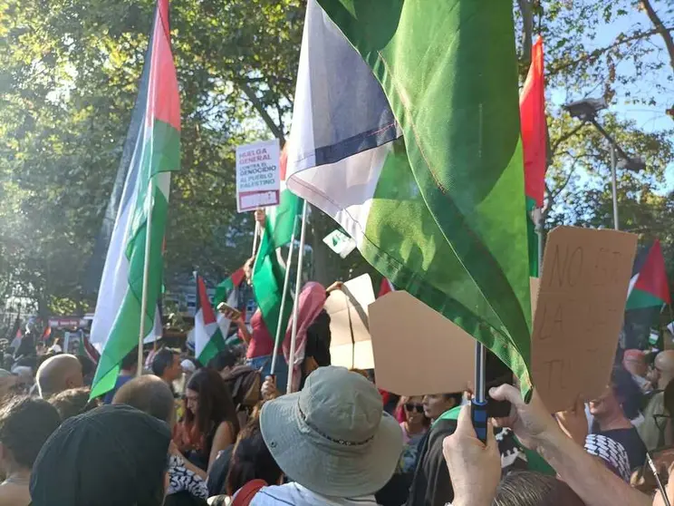 manifestacion propalestina madrid