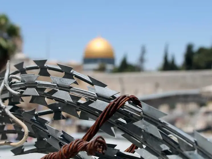 barbed-wire-2446112_1280