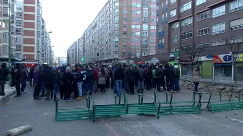 gamonal