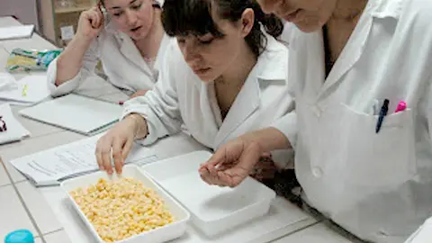 innovacion