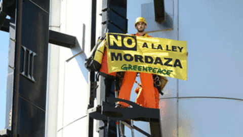 greenpeace350