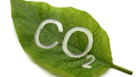 Co2