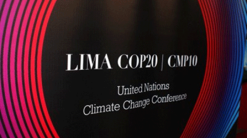 cop-20-clima