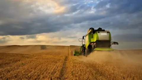 agroalim