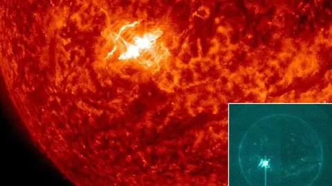 tomenta-solar