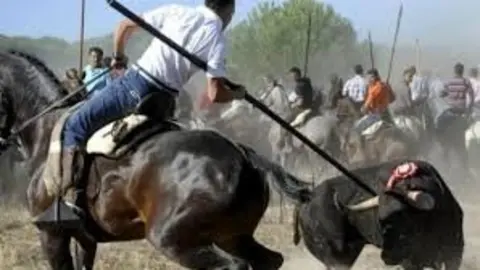 El toro de Tordesillas