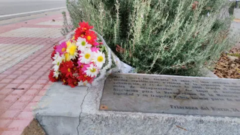 flores-cunetas
