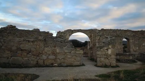 vis