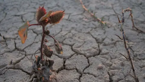 El-acceso-al-agua-en-Espana-es-cada-vez-mas-limitado_image_380