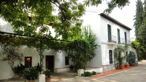 Egea 5