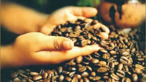 cafe_peruanoexport