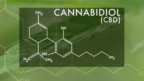 cannabis