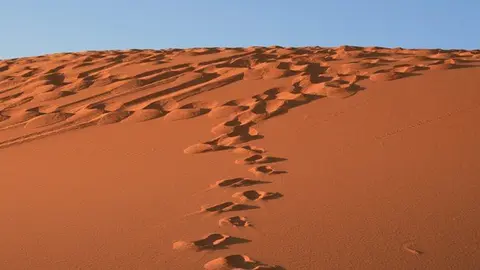 pisadas-en-dunas