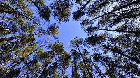 biodiversidad