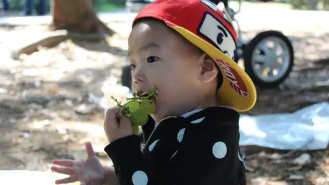 Por-que-los-ninos-pequenos-no-deben-comer-uvas-enteras_image_380