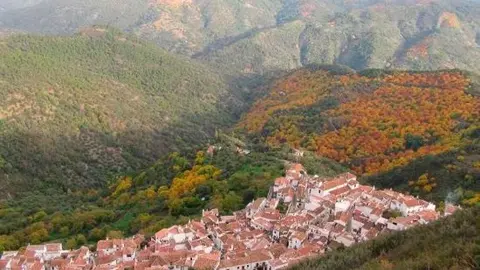malaga
