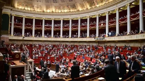 asamblea francia