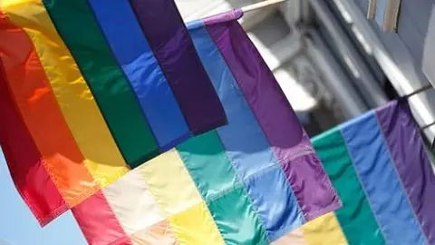 gay