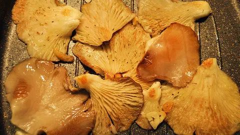 Las-setas-a-la-plancha-o-al-microondas-conservan-mejor-sus-propiedades_image_380