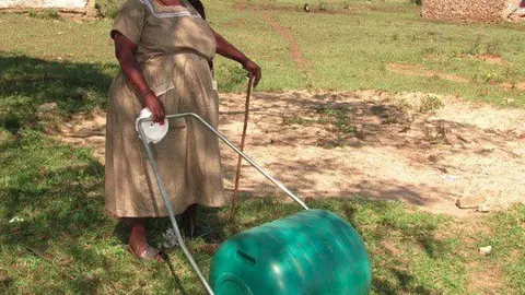hippo-roller.jpg-1