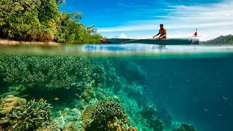 coral