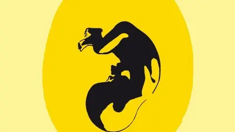 cascara libro2