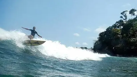 surf