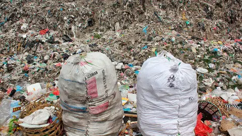 Unos-8.300-millones-de-toneladas-de-plastico-circulan-por-el-mundo_image_380
