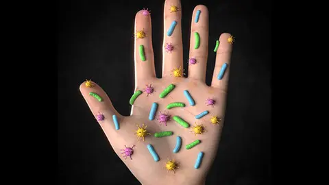 bacterias-1