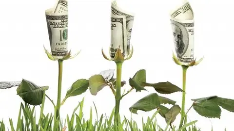 economi-a-verde1
