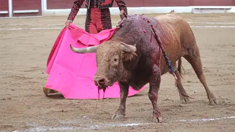 tauromaquia