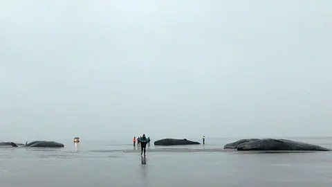 2017100916402811689
