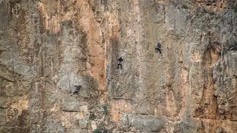 muro