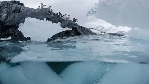 oceano
