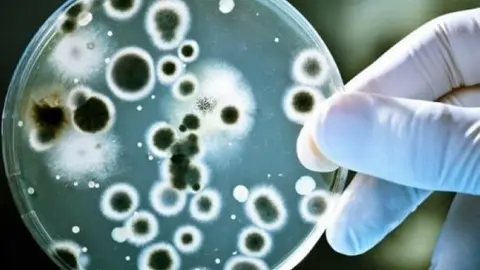 superbacterias