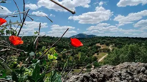 ecologia-alpina