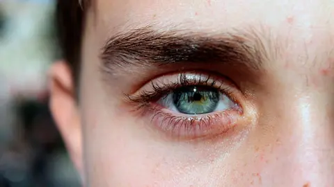 La-expresion-de-las-cejas-clave-en-la-supervivencia-humana_image_380