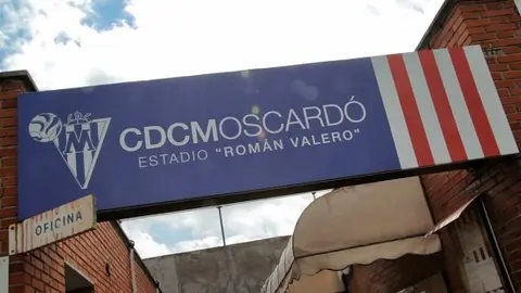 moscardo