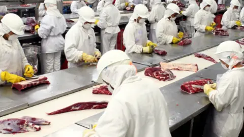 trabajadores carnica
