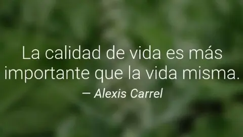 carrel